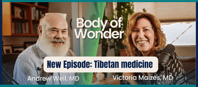 Body of Wonder New Episodes